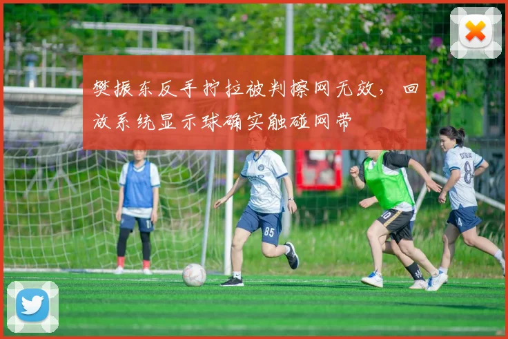 樊振东反手拧拉被判擦网无效，回放系统显示球确实触碰网带
